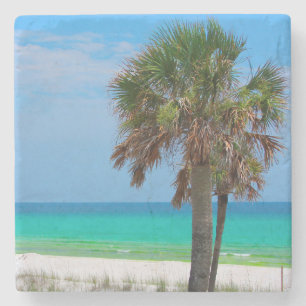 USA, Florida. Palmträd på Emerald Coast Underlägg Sten