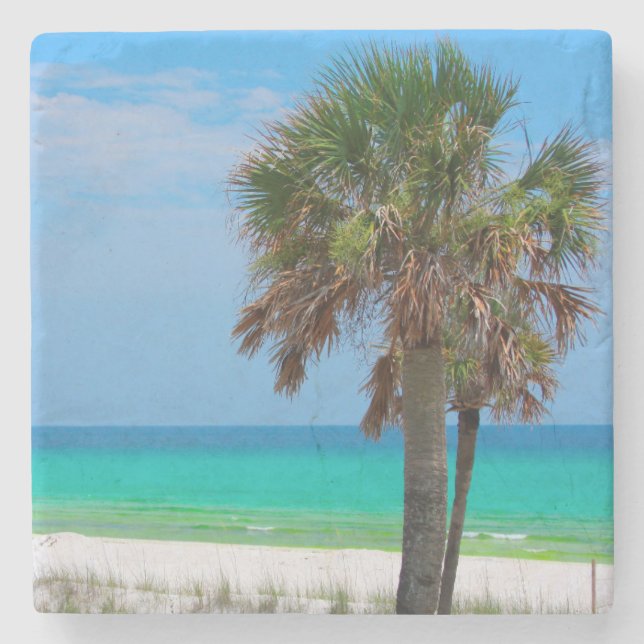 USA, Florida. Palmträd på Emerald Coast Underlägg Sten (Framsidan)