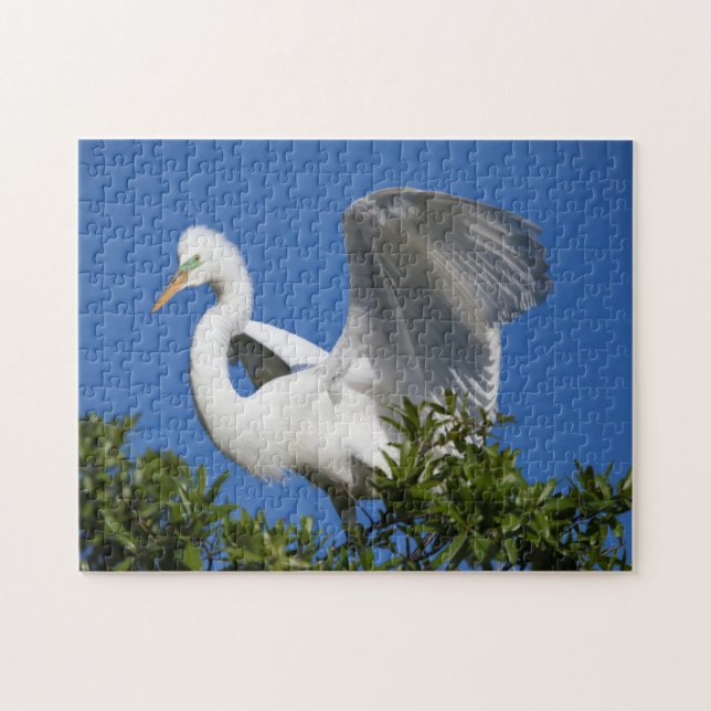 USA, Florida, Saint Augustine, Egret Pussel (Horisontell)