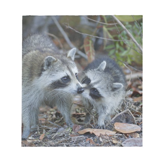 USA, Florida, Sanibel, Ding Darling National Anteckningsblock (Framsida)