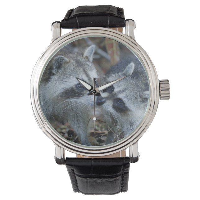 USA, Florida, Sanibel, Ding Darling National Armbandsur (Framsida)