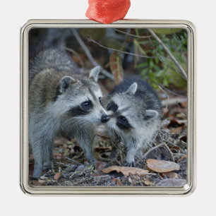 USA, Florida, Sanibel, Ding Darling National Julgransprydnad Metall