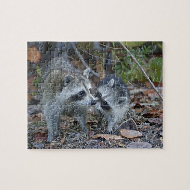 USA, Florida, Sanibel, Ding Darling National Pussel (Horisontell)