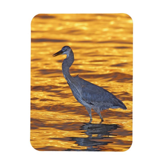 USA, Florida, Sankt Petersburg, Fort De Soto Park. Magnet (Vertikal)