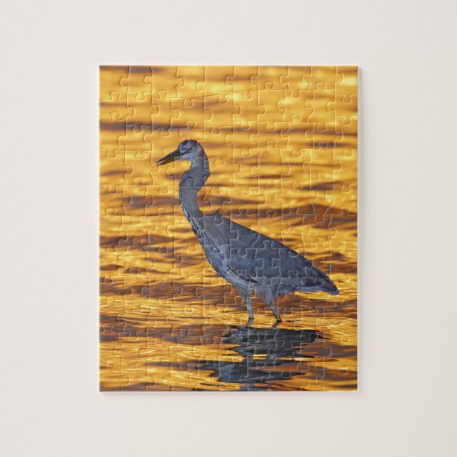 USA, Florida, Sankt Petersburg, Fort De Soto Park. Pussel (Vertikal)