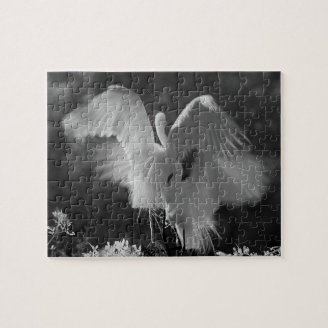 USA, Florida, Sillgarderob (Ardea alba) infraröd 3 Pussel (Horisontell)