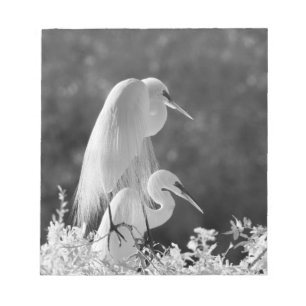 USA, Florida, Sillgarderob (Ardea alba) infraröd Anteckningsblock
