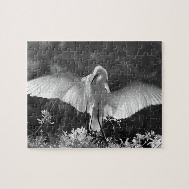 USA, Florida, Silltrut (Ardea alba) infraröd 2 Pussel (Horisontell)