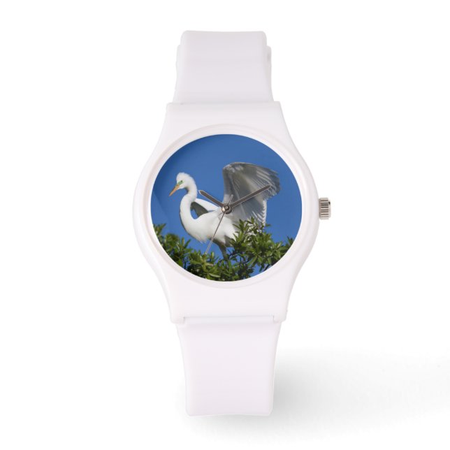 USA, Florida, St. Augustine, Ägretthäger Armbandsur (Framsida)