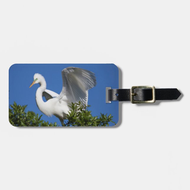 USA, Florida, St. Augustine, Ägretthäger Bagagebricka (Horisontell Framsida)