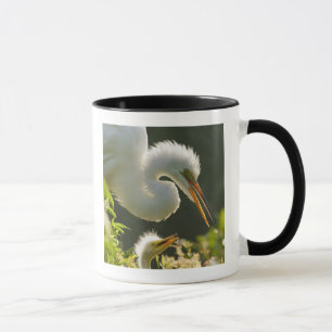 USA, Florida, St. Augustine, Alligatorfarm Mugg