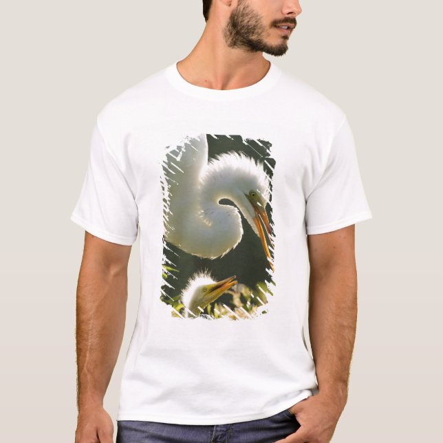 USA, Florida, St. Augustine, Alligatorfarm Tee (Framsida)