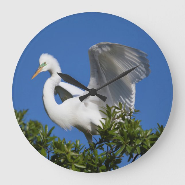 USA Florida, St Augustine, Egret Stor Klocka (Framsida)