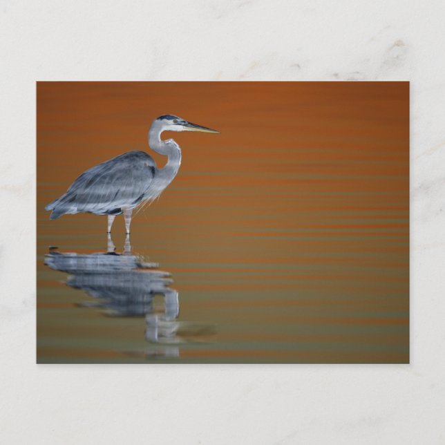 USA Florida, St Petersburg, Fort De Soto 2 Vykort (Framsida)