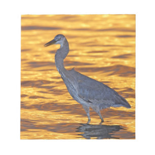 USA, Florida, St. Petersburg, Fort De Soto Park. Anteckningsblock