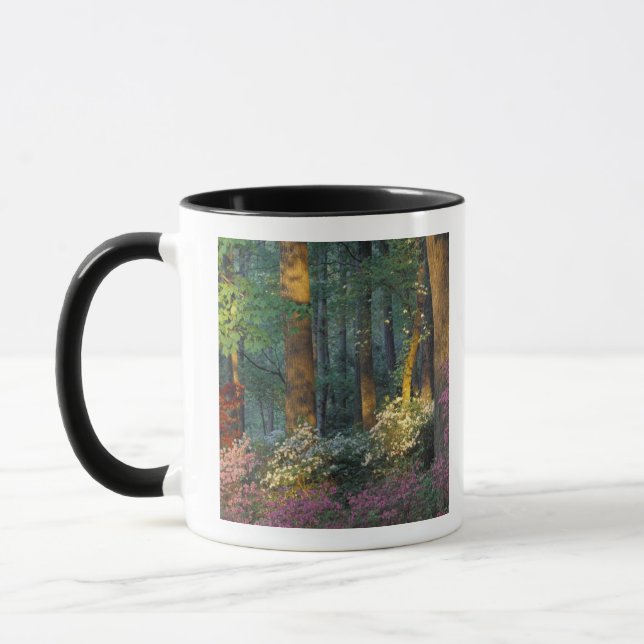 USA, Georgia, Callaway Gardens, Azaleaskog. Mugg (Vänster)
