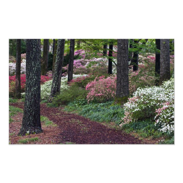 USA, Georgia, Callaway Gardens. Stig Fototryck (Framsidan)
