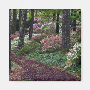 USA, Georgia, Callaway Gardens. Stig Magnet