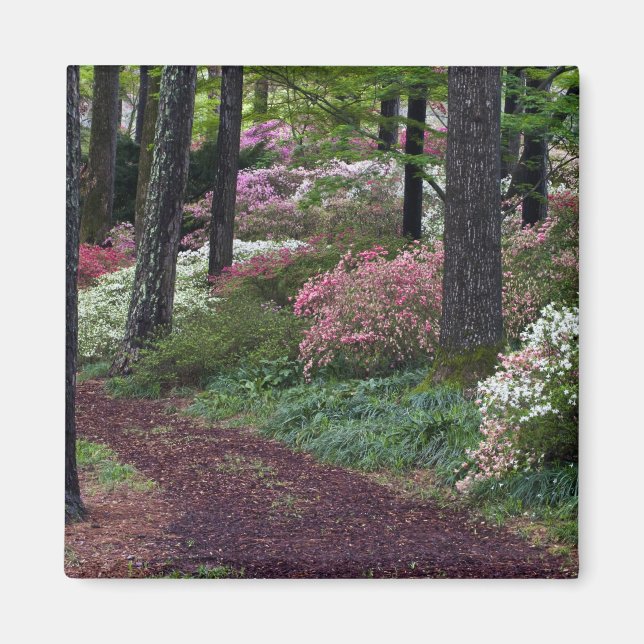 USA, Georgia, Callaway Gardens. Stig Magnet (Framsidan)