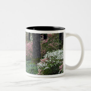 USA, Georgia, Callaway Gardens. Stig Två-Tonad Mugg
