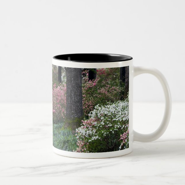 USA, Georgia, Callaway Gardens. Stig Två-Tonad Mugg (Höger)