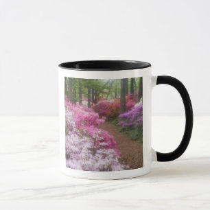 USA; Georgia; Pine Mountain. Azaleor vid 2 Mugg