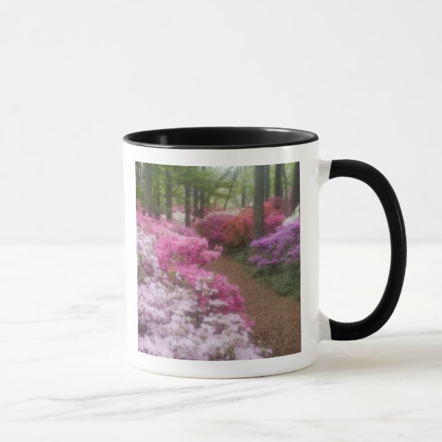 USA; Georgia; Pine Mountain. Azaleor vid 2 Mugg (Höger)
