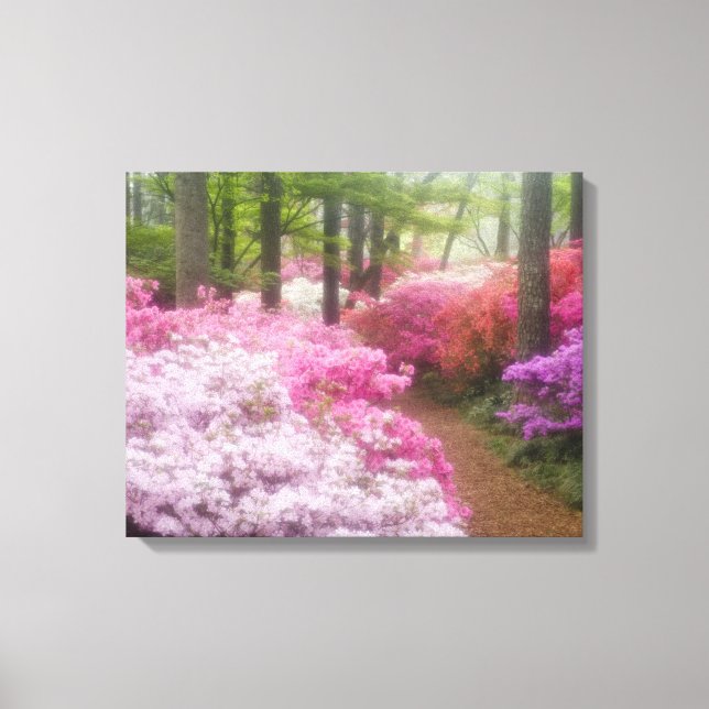 USA; Georgia; Pine Mountain. Azaleor vid Canvastryck (Framsida)