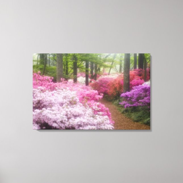 USA; Georgia; Pine Mountain. Azaleor vid Canvastryck (Framsida)