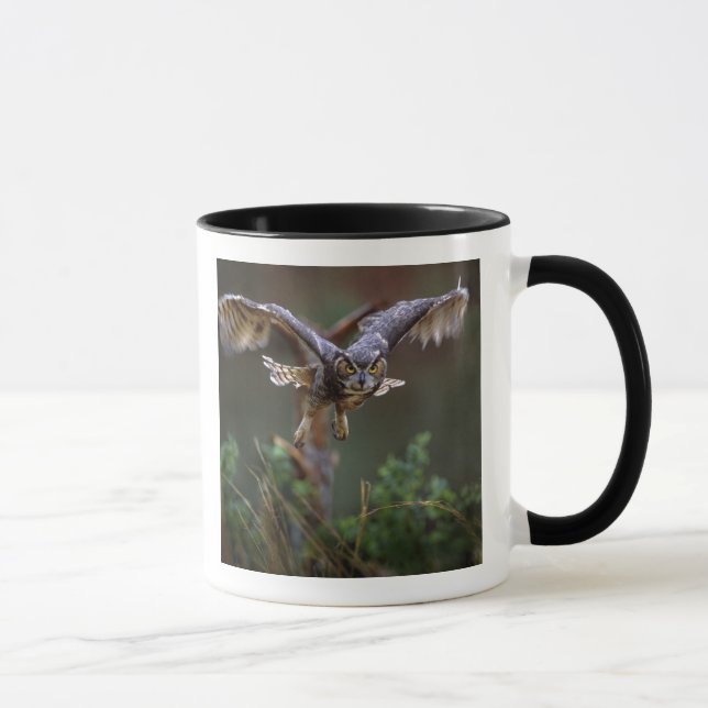 USA, Georgia, Pine Mountain, Callaway Gardens. Mugg (Höger)