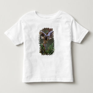 USA, Georgia, Pine Mountain, Callaway Gardens. Tee Shirt