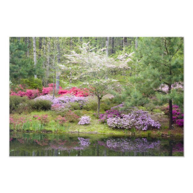 USA, Georgia, Pine Mountain. En blandning av Fototryck (Framsidan)