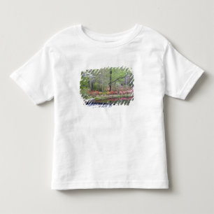 USA, Georgia, Pine Mountain. En liten vattenfall Tee