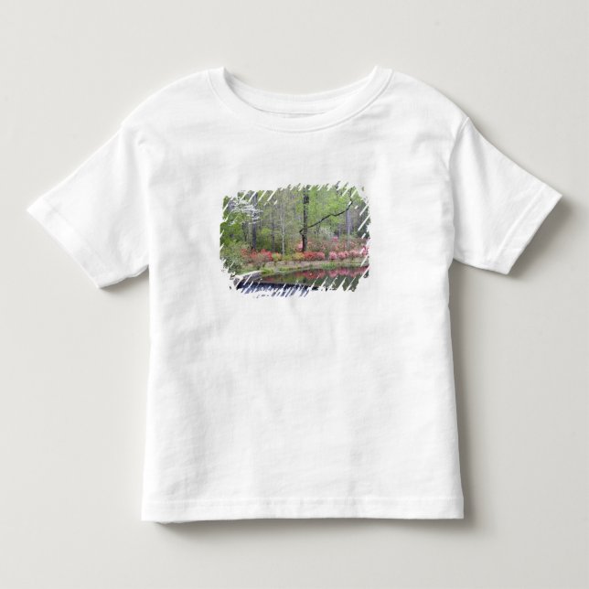 USA, Georgia, Pine Mountain. En liten vattenfall Tee (Framsida)