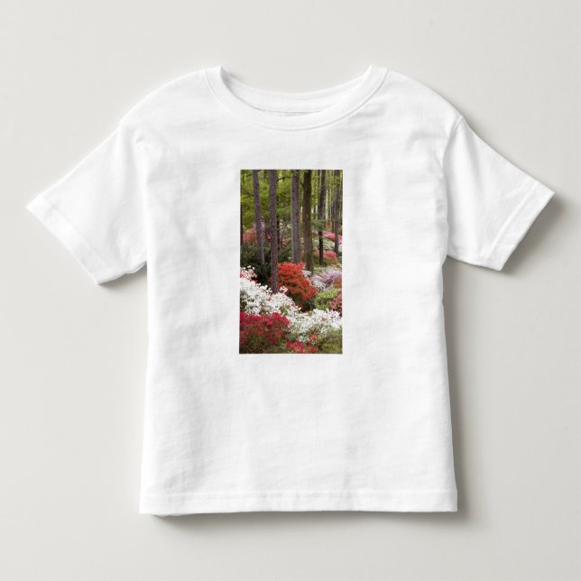 USA, Georgia, Pine Mountain. En skog av Tee (Framsida)