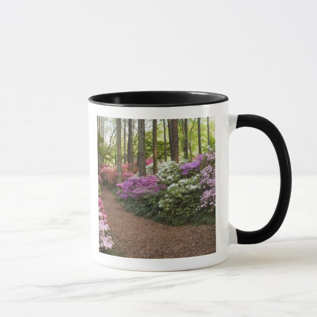 USA, Georgia, Pine Mountain. En stig genom Mugg (Höger)