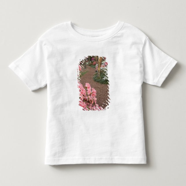 USA, Georgia, Pine Mountain. En stig genom Tee Shirt (Framsida)