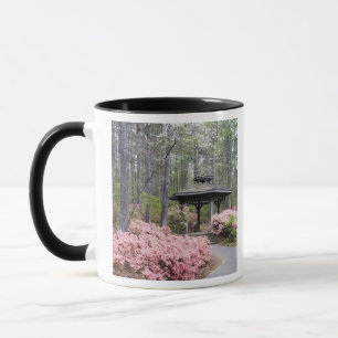 USA, Georgia, Pine Mountain. Ett lusthus bland Mugg