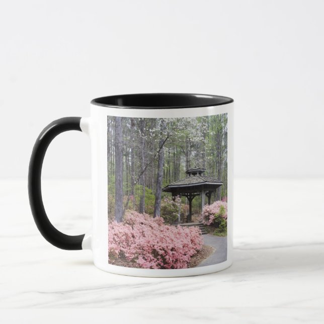 USA, Georgia, Pine Mountain. Ett lusthus bland Mugg (Vänster)