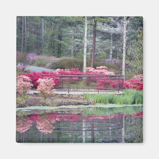 USA, Georgia, Pine Mountain. Utsiktsområde vid Magnet (Framsidan)