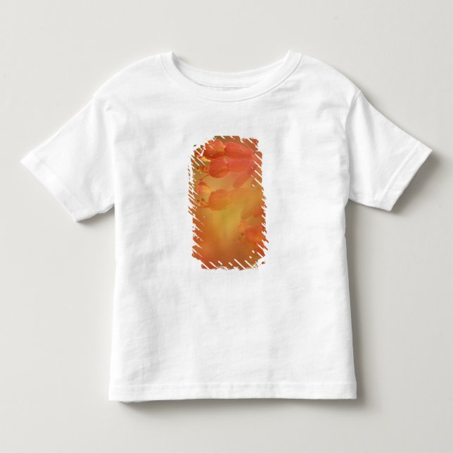 USA Georgia Savannah buckeye blomma abstrakt Tee (Framsida)