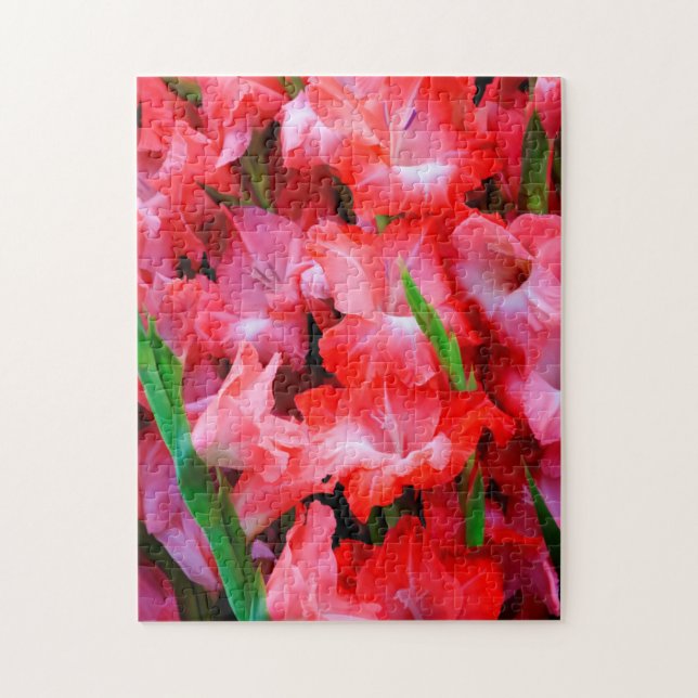 USA, Georgia, Savannah, bukett gladioler Pussel (Vertikal)