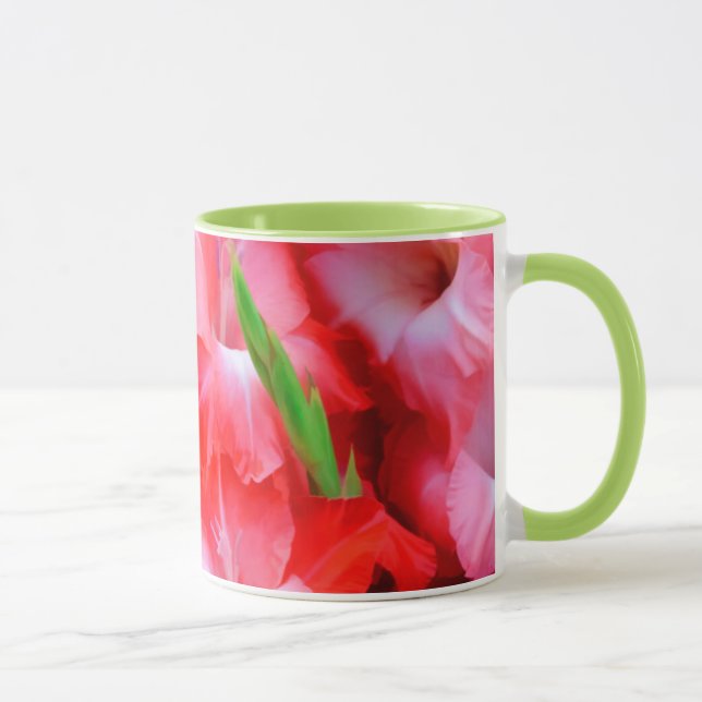 USA, Georgia, Savannah, bukett gladiolus Mugg (Höger)