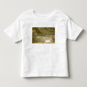 USA, Georgia, Savannah, En ek-linjär uppfart i T-shirt