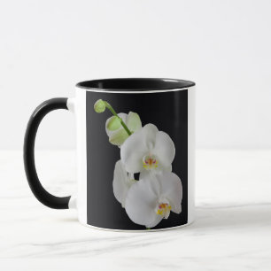 USA, Georgia, Savannah, Orkidékluster Mugg