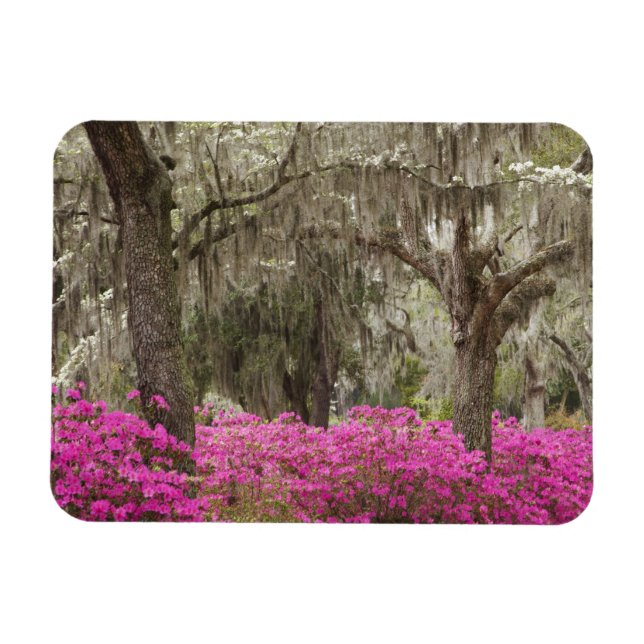 USA, Georgia, Savannah, Vår vid historisk plats Magnet (Horisontell)