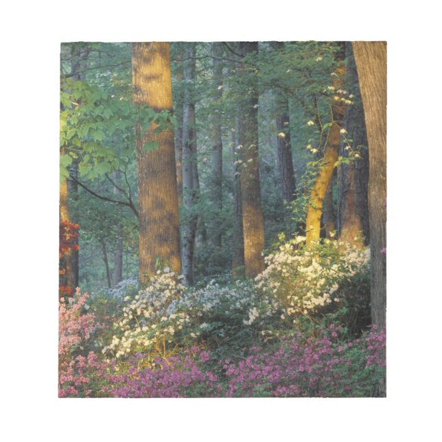 USA, Georgien, Callaway Gardens, Azalea-skogen. Anteckningsblock (Framsida)