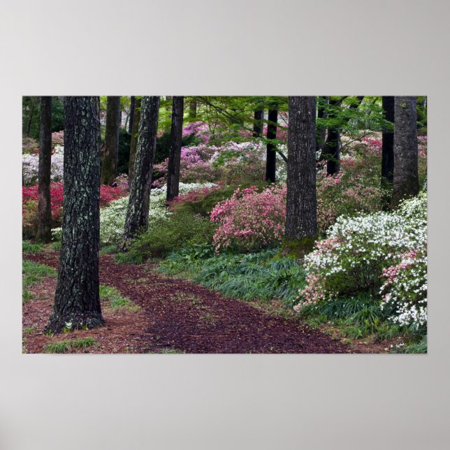 USA, Georgien, Callaway Gardens. Pathway Poster (Framsidan)