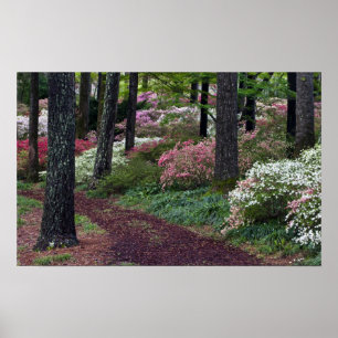 USA, Georgien, Callaway Gardens.Pinne Poster