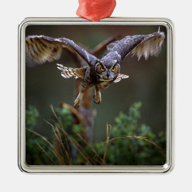 USA, Georgien, Gräs, Callaway Gardens. Julgransprydnad Metall (Framsidan)